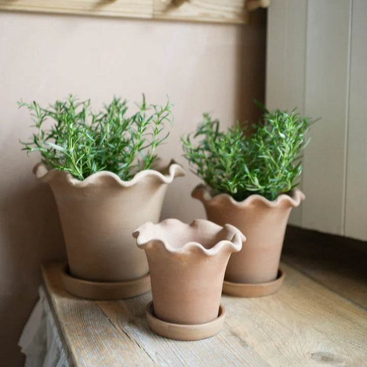 handmade terracotta plant pots Filly Handmade Terracotta Plant Pots – Set of 3 with Frill Detail & Dr